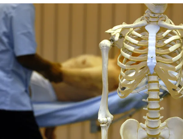 Osteopathy Treatment